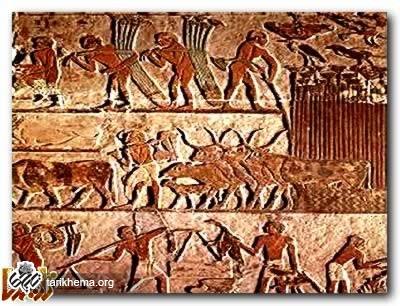 http://tarikhema.org/images/2011/04/Ancient_Egypt-1.jpg