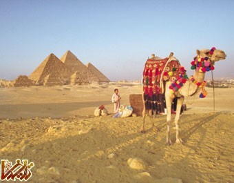http://tarikhema.org/images/2011/07/egypt-pyramids-camel1.jpg