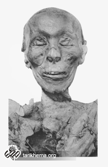 220px-Thutmose_II_mummy_head.png (220×340)