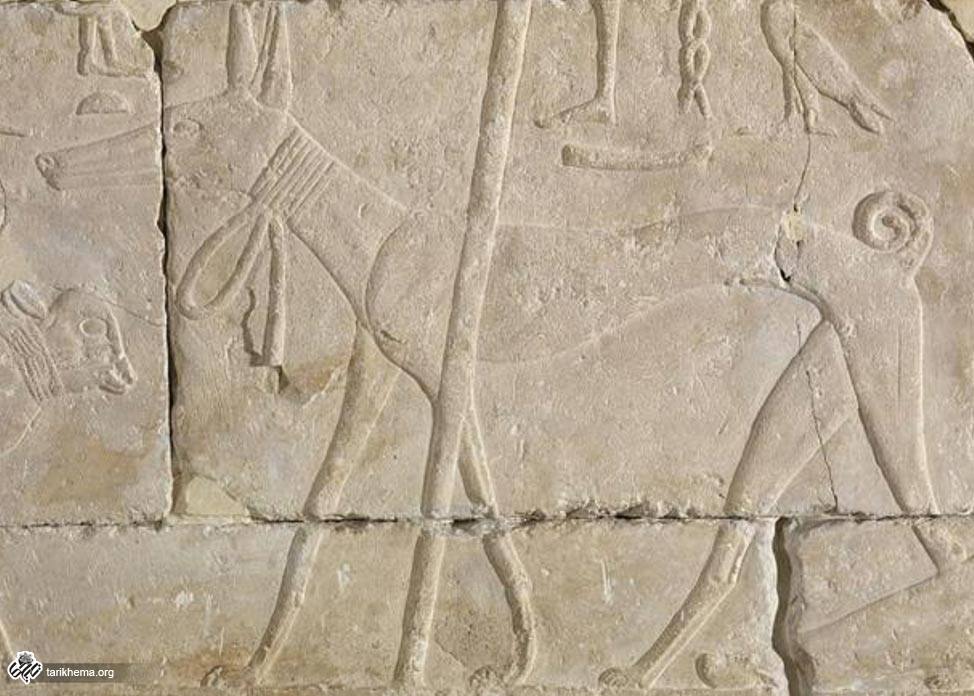 Egyptian-relief-carving-dog.jpg (974×696)