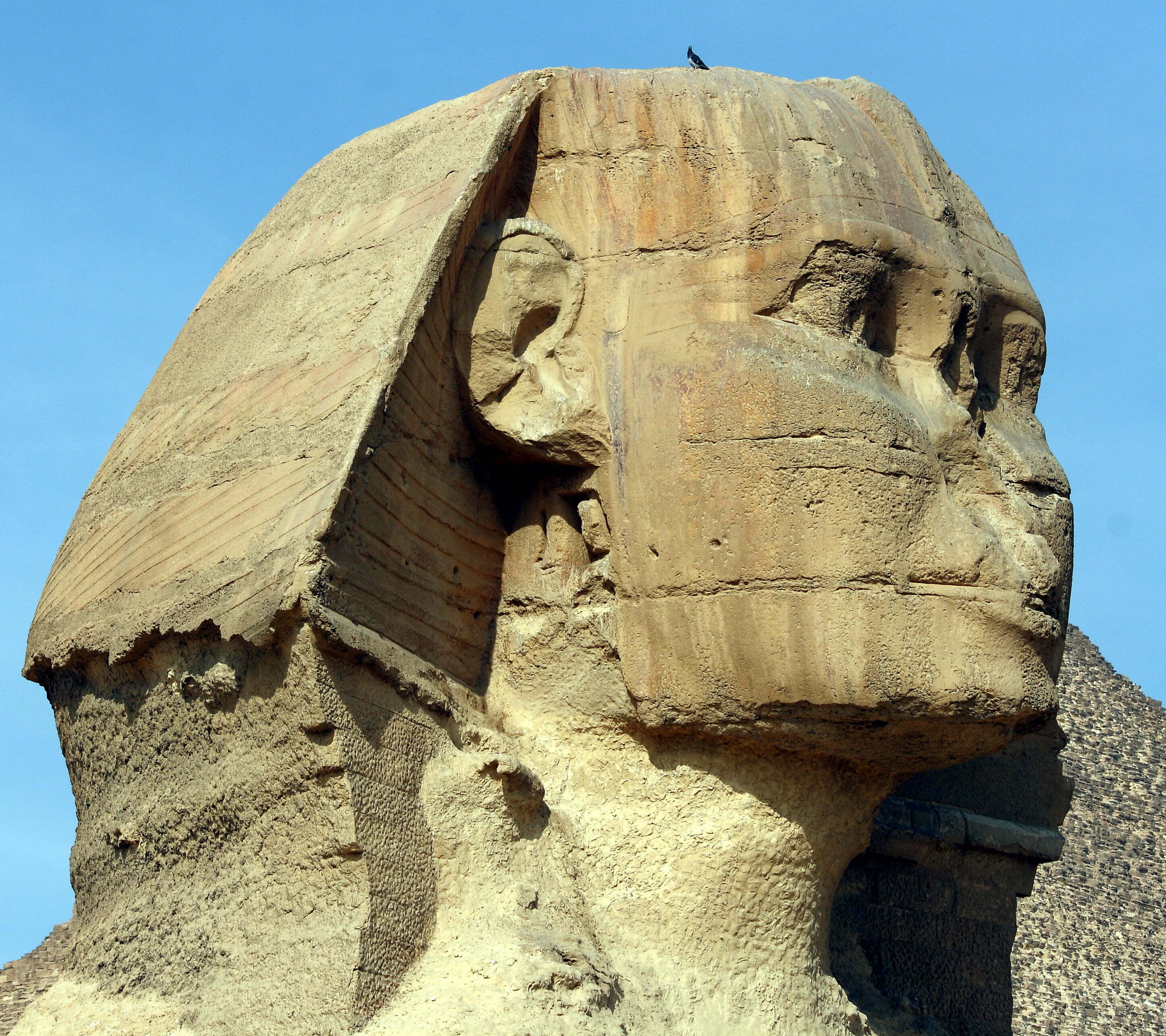 Great_Sphinx_of_Giza_0909.jpg