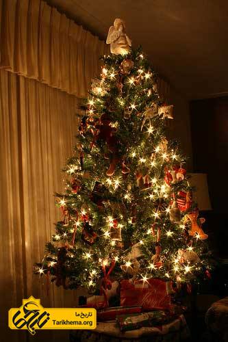 عکس درخت کریسمس %d8%af%d8%b1%d8%ae%d8%aa-%da%a9%d8%b1%d9%8a%d8%b3%d9%85%d8%b3 Tarikhema.org