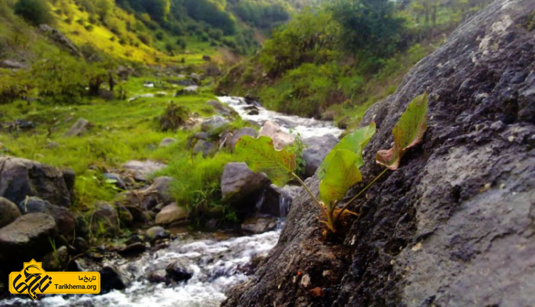 روستای ناتر