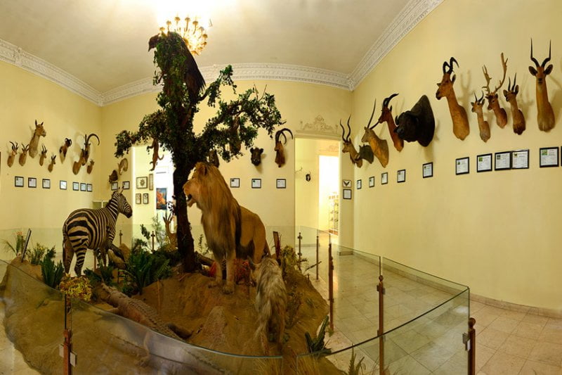 موزه آثار طبیعی و حیات وحش ایران
