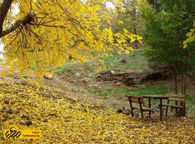معرفی جنگل های اطراف تهران