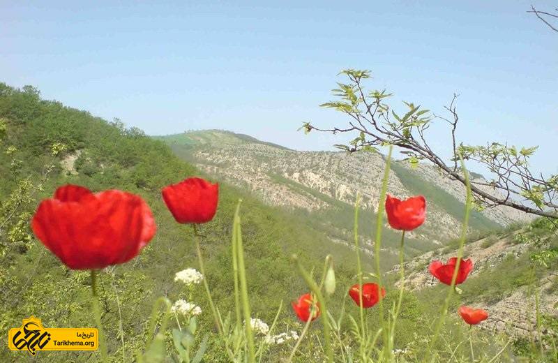 جاذبه های گردشگری شهر آشخانه