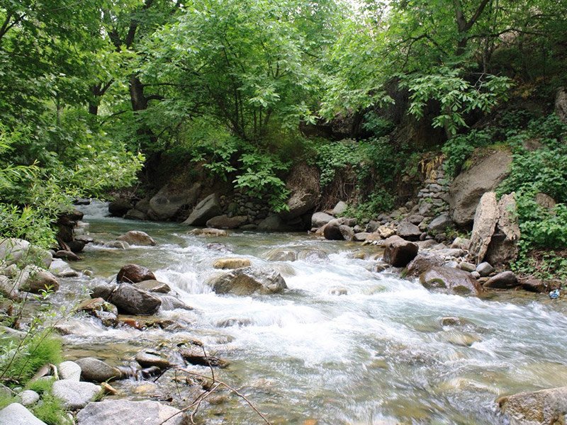 روستای برغان