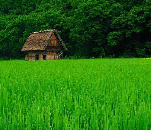 راهنمای سفر به شمال ایران