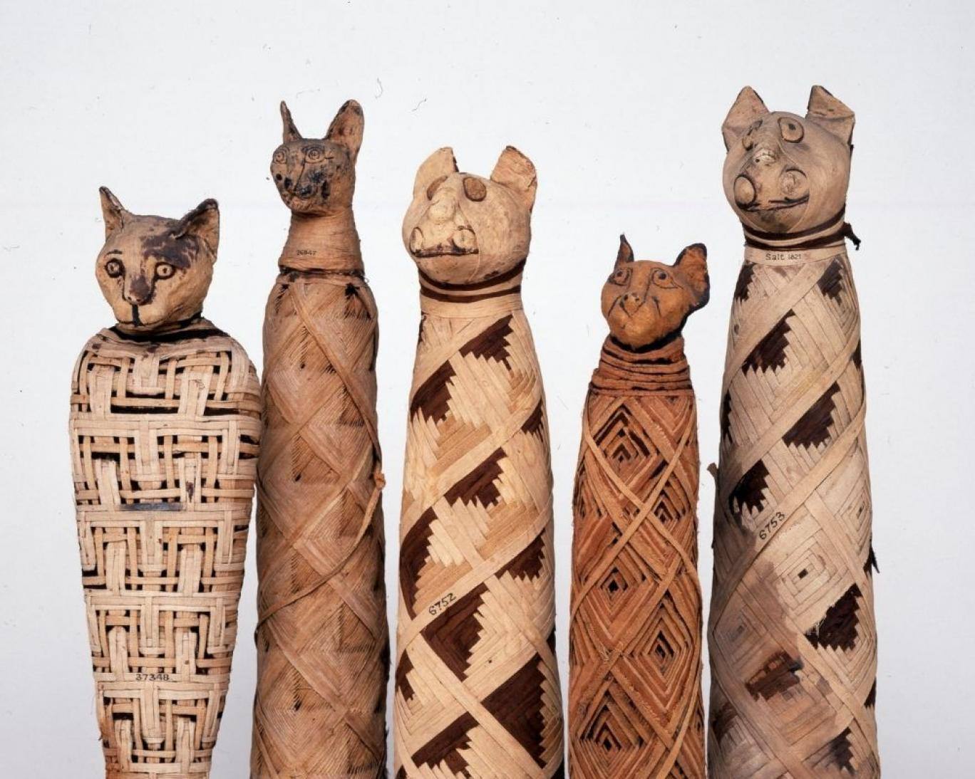 مومیایی کردن گربه‌ها توسط مصری‌ها