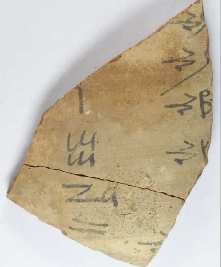 (تصاویر) کشف بزرگترین مجموعه «دفتر‌های یادداشت» مصر باستان!