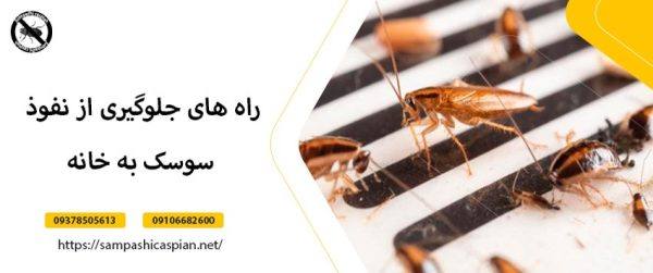 راه های جلوگیری از نفوذ سوسک به خانه