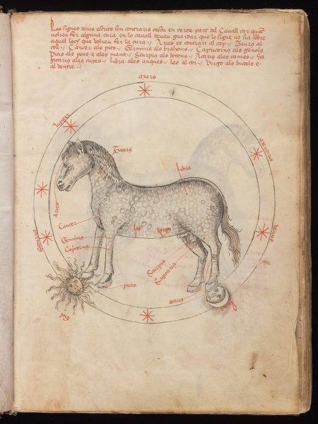 یاگرامی از اسب زودیاک در اواخر قرن پانزدهم