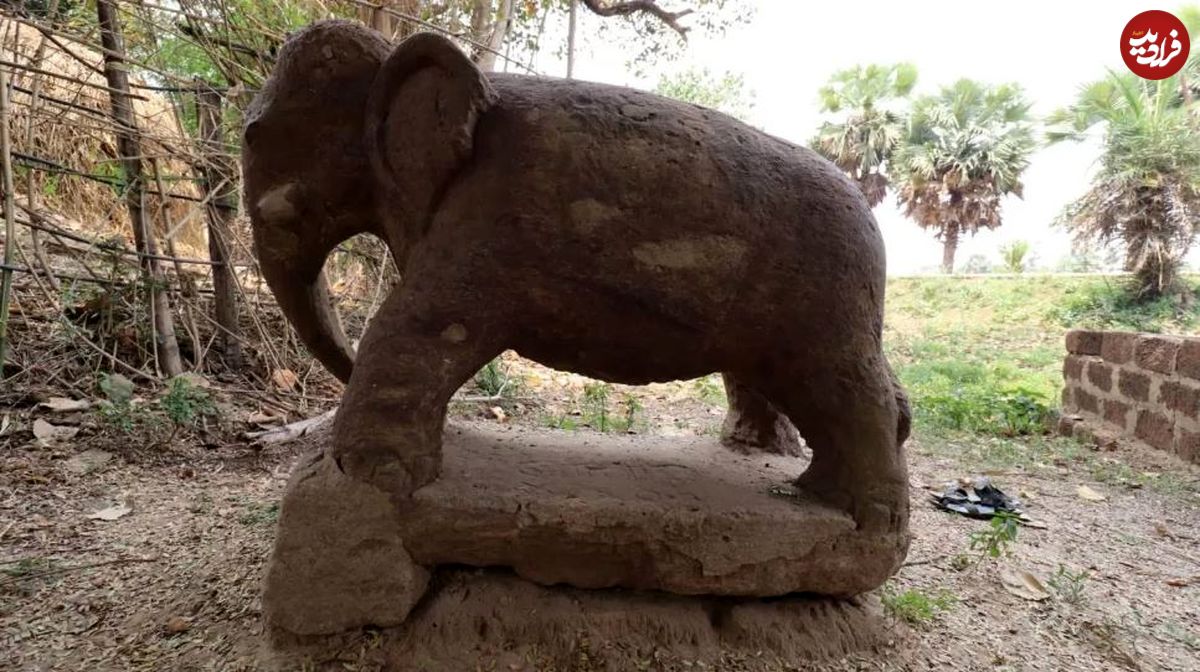 کشف مجسمه فیلی