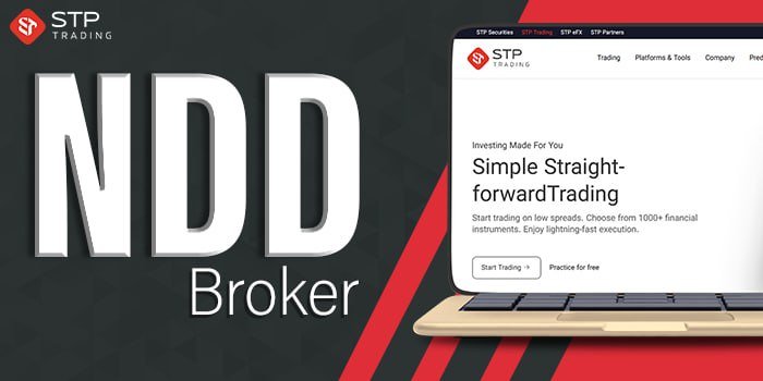 بروکر اس تی پی تریدینگ | STP Trading