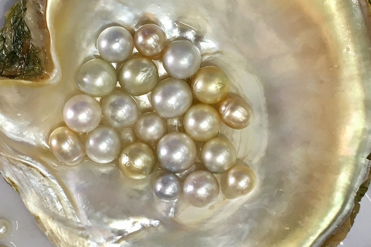 اکویا - جواهرات جم