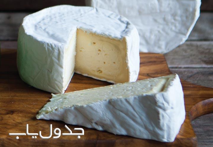 محبوب ترین پنیرها