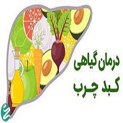 راه درمان طبیعی و گیاهی کبد چرب