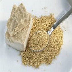 فواید استفاده از خمیرمایه در نان چیست؟