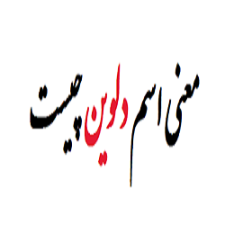 معنی اسم دلوین چیست؟