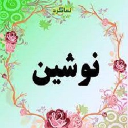 معنی اسم نوشین چیست؟