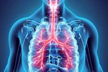 لیست آدرس و تلفن پزشکان فوق تخصص ریه در یزد