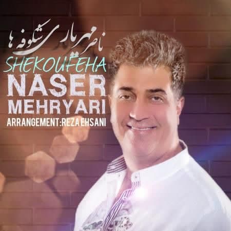 دانلود آهنگ جدید شکوفه ها از ناصر مهریاری