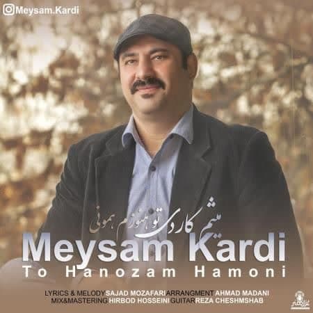 دانلود آهنگ جدید تو هنوزم همونی از میثم کاردی