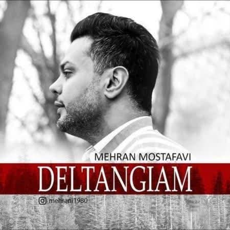 دانلود آهنگ جدید دلتنگیام از مهران مصطفوی