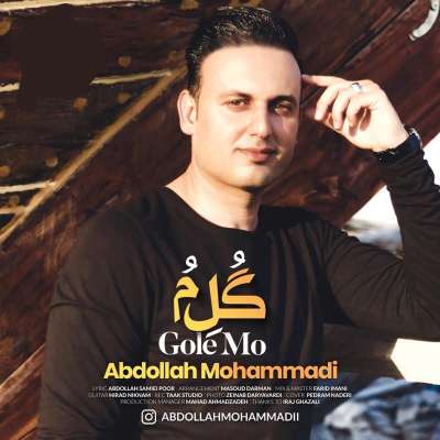 عبدالله محمدی  گل مو