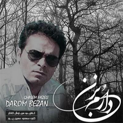 قاسم فاضلی دارم بزن