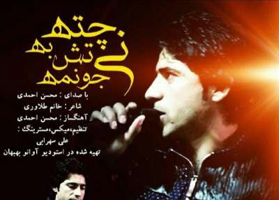 محسن احمدی  نی چته