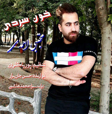 مجتبی احمدی خون سردی