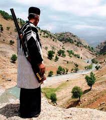 نوزین سوار از استاره بختیاری