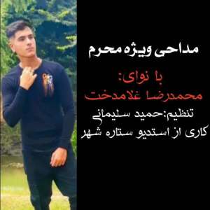 دانلود مداحی واویلا واویلا از محمد رضا غلامدخت