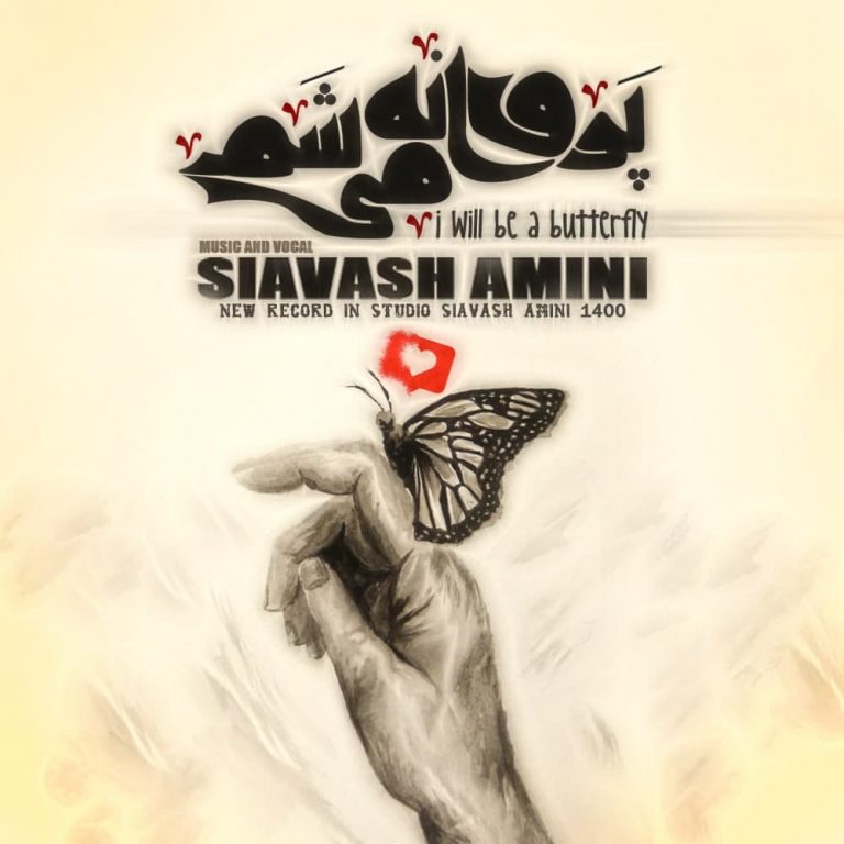  										سیاوش امینی	  											  پروانه میشم