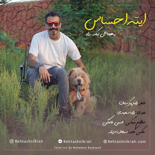 بهتاش نیکراه ایته احساس