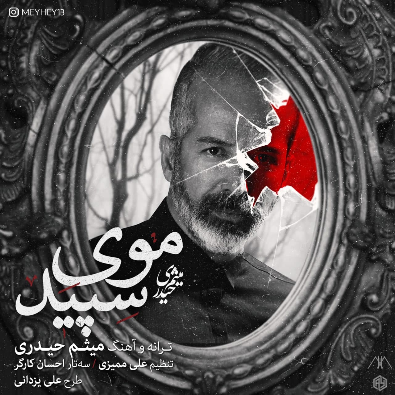 میثم حیدری موی سپید