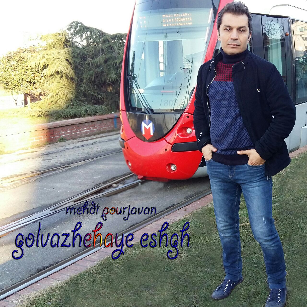 مهدی پورجوان گل واژه های عشق