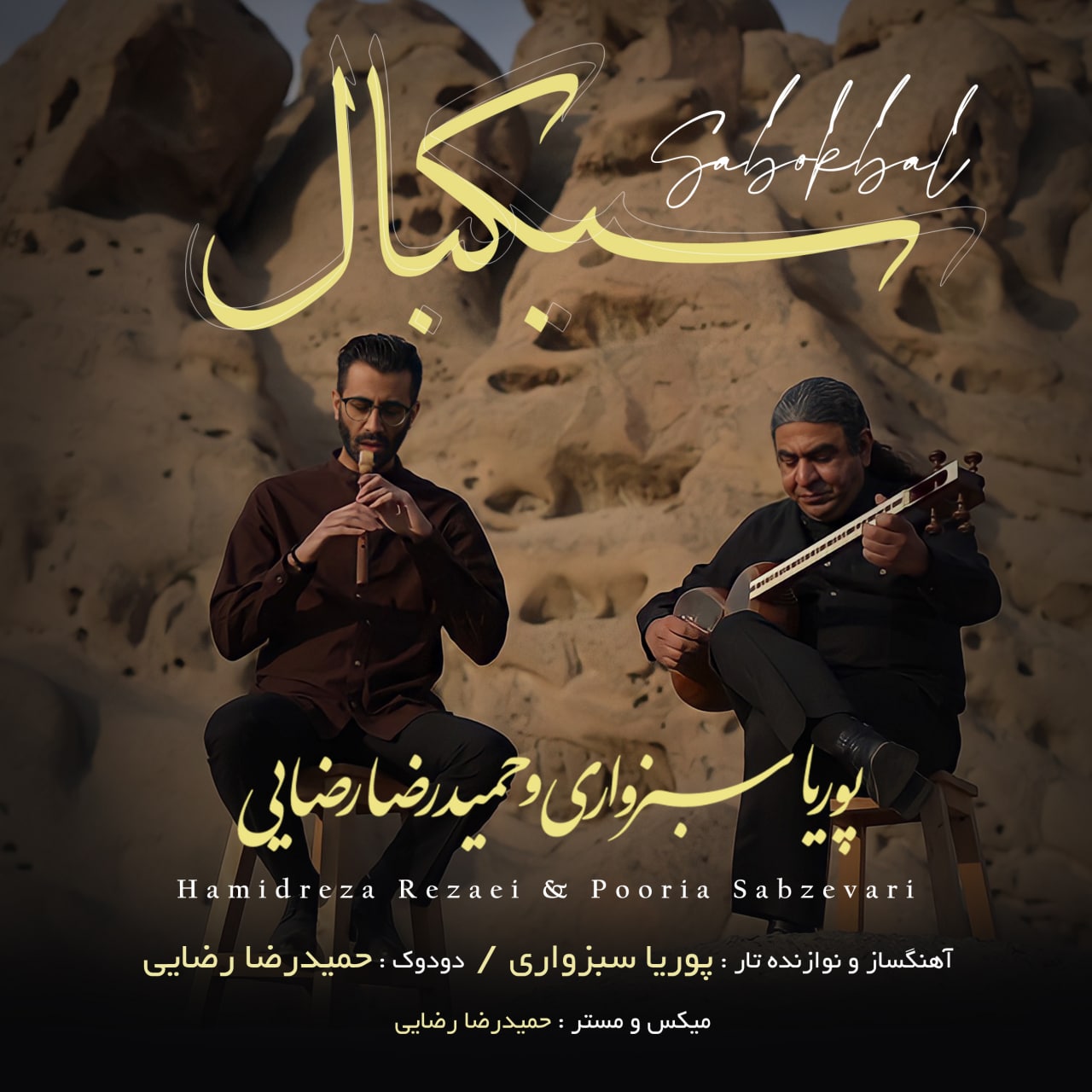 حمیدرضا رضایی و پوریا سبزواری سبکبال