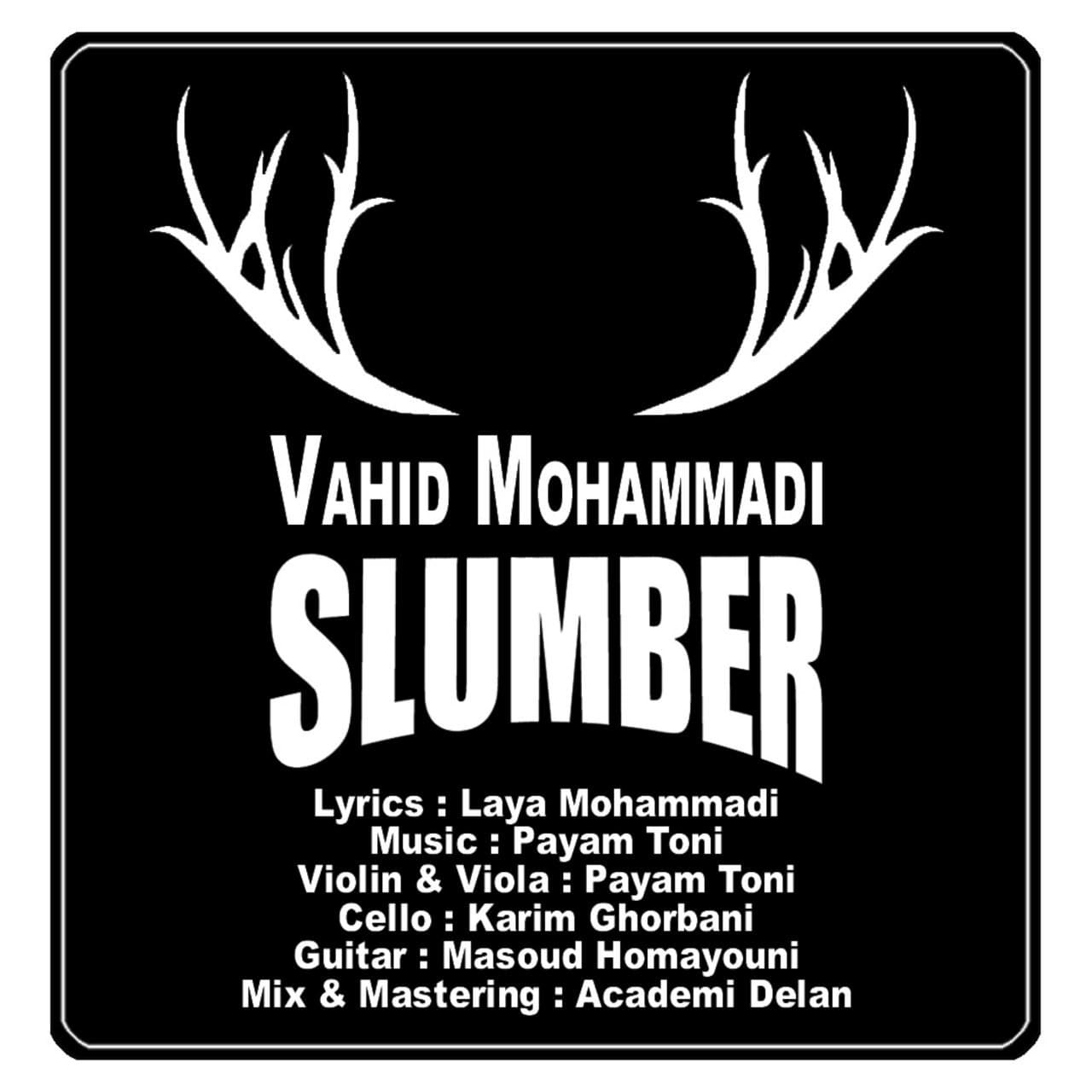 وحید محمدی خواب خرگوشی