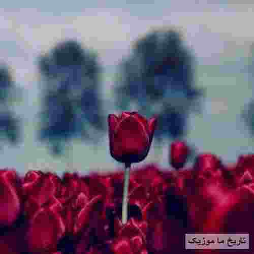رضا پیشرو و سیناب بین ما