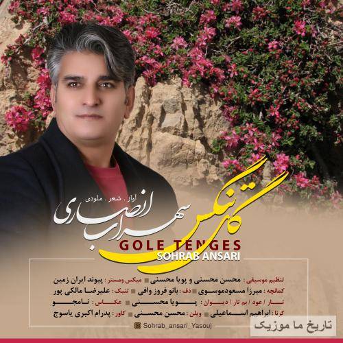 سهراب انصاری گل تنگس