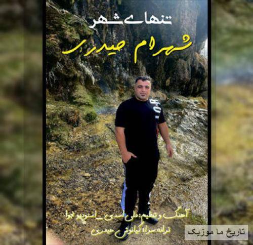 شهرام حیدری تنهای شهر
