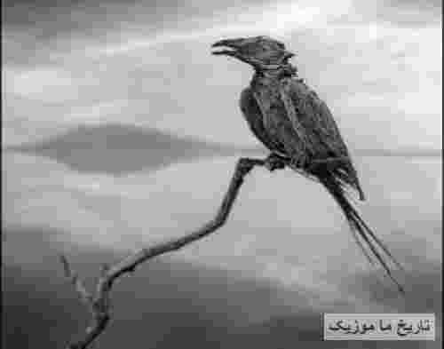 پوری (پویان مختاری) مادگاریتا