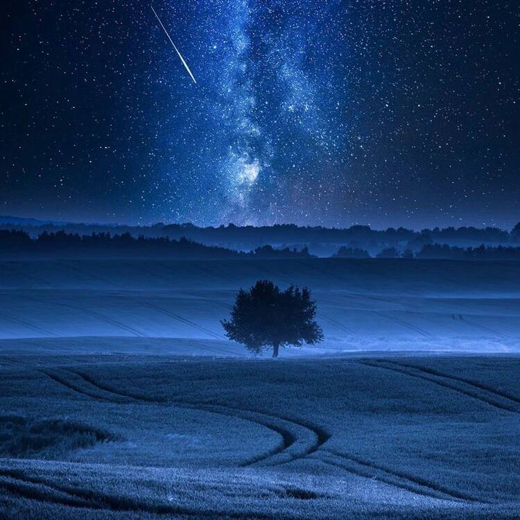 یاس بیم