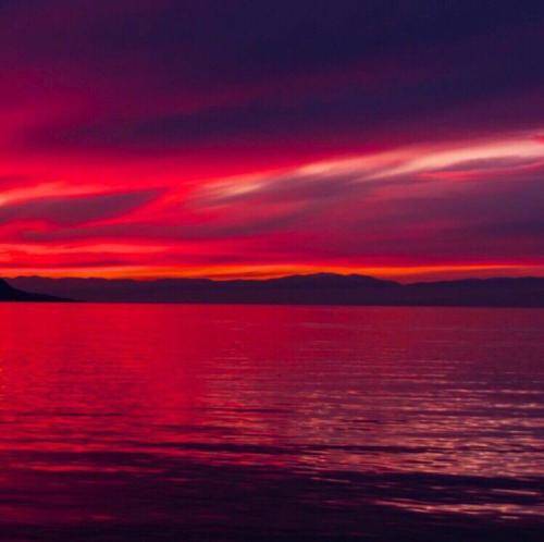 زیبا رحیمی زیبای قشنگم