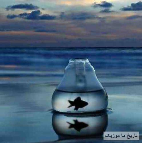 سارن بی صدا رفتم که این دردو بهت حالی کنم