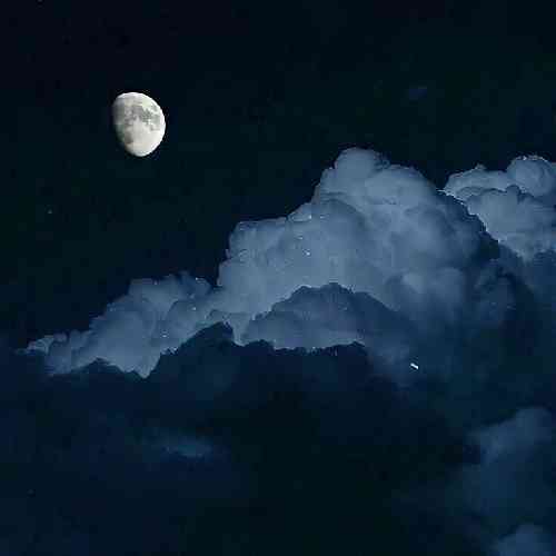رز خاطره