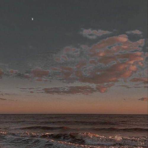 بیژن یار حالت پرواز 