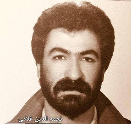 نجمه الدین غلامی به هاری وه رزی ژینم